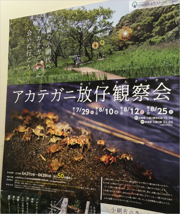 三浦京急三崎口小網代の森にアクセス ここは現代に残された神奈川の秘境 水の惑星アウトドア紀行