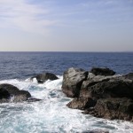 三浦半島で磯釣りを始めたい！初心者の為のポイント【三浦半島磯釣り入門】